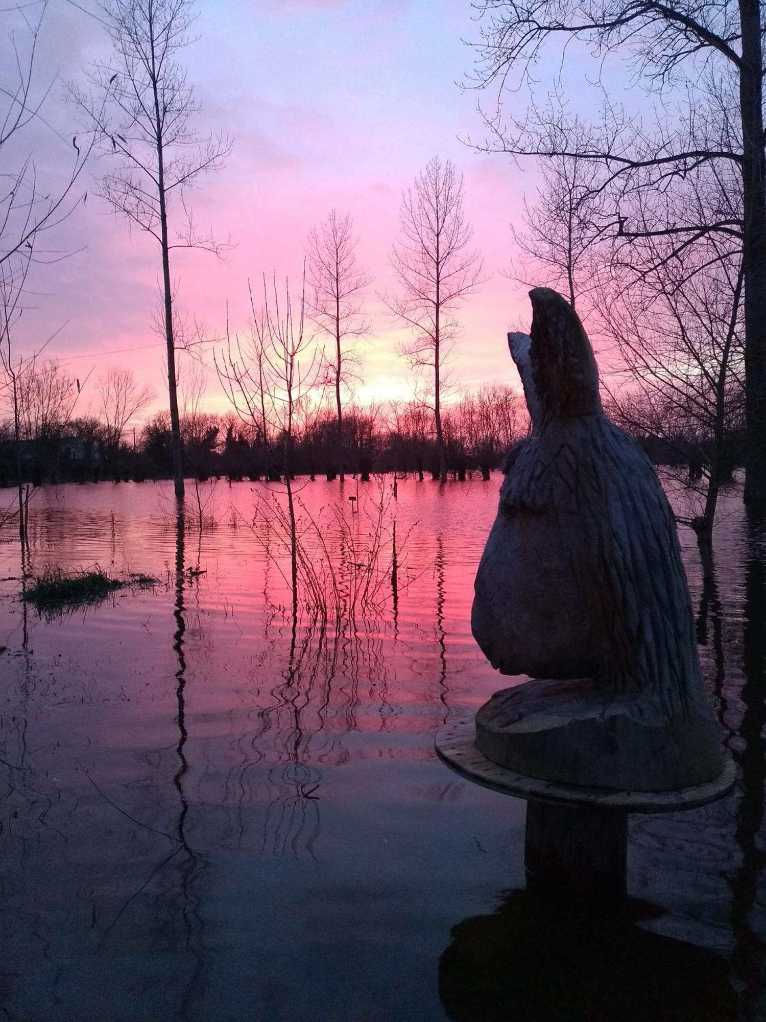 La Ferme Du Marais Poitevin - Roulotte Hotel Benet Buitenkant foto