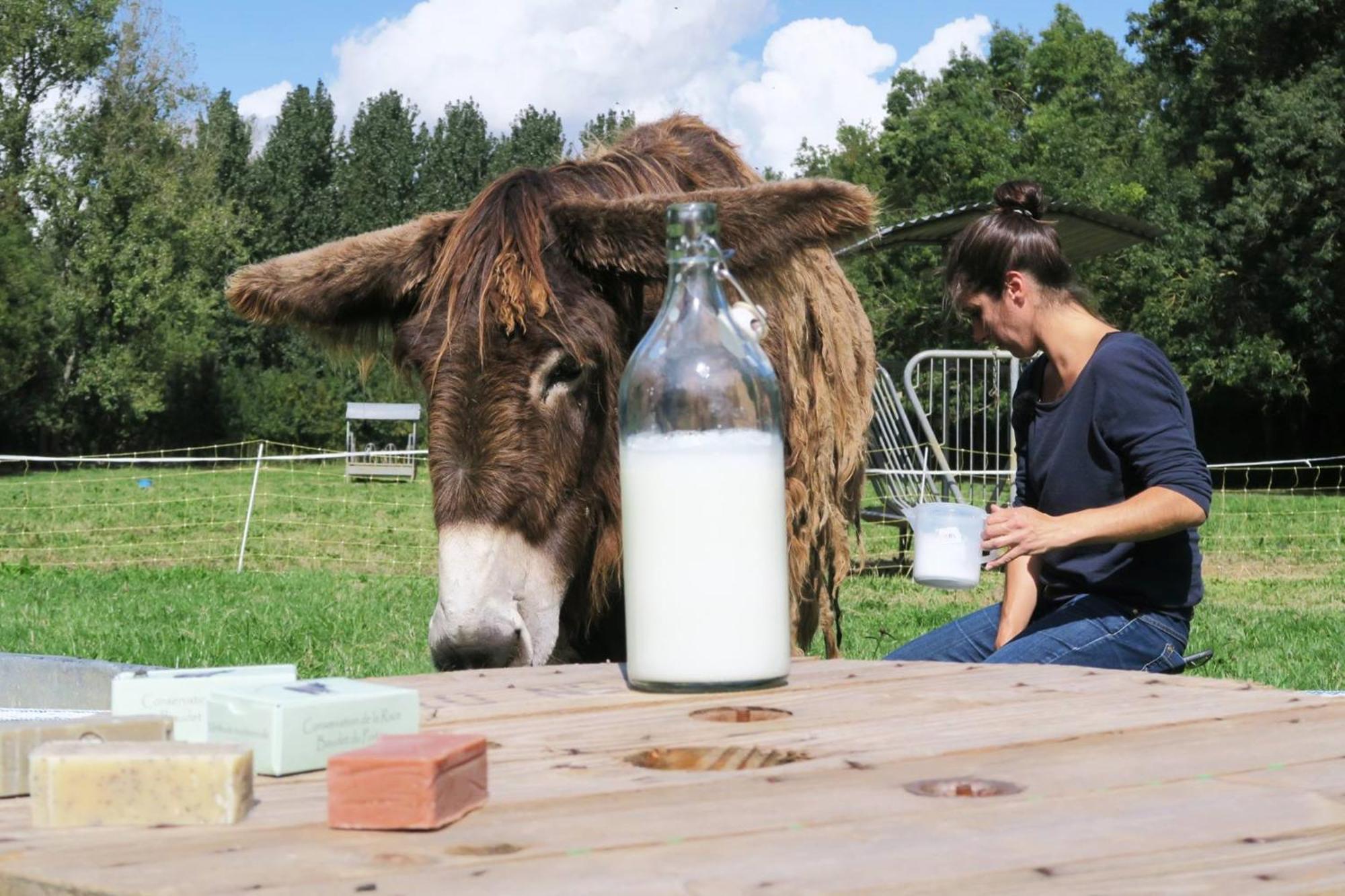 La Ferme Du Marais Poitevin - Roulotte Hotel Benet Buitenkant foto