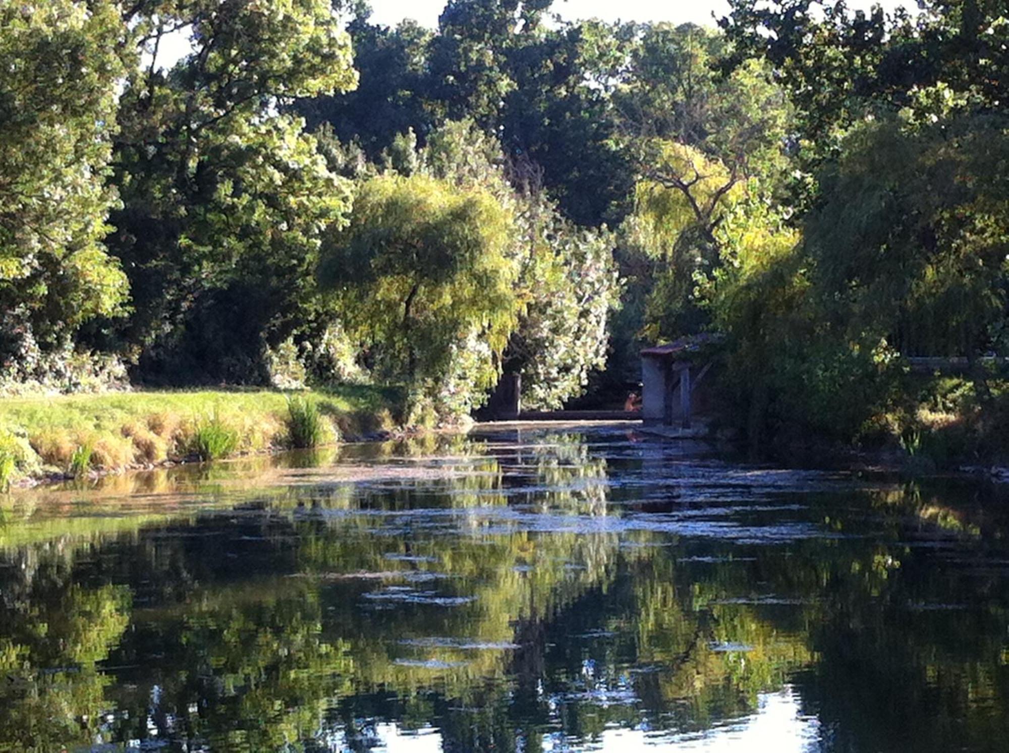 La Ferme Du Marais Poitevin - Roulotte Hotel Benet Buitenkant foto